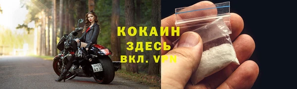 тгк Белокуриха