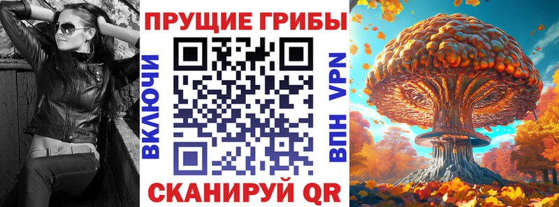 Галлюциногенные грибы Magic Shrooms  Купить закладки  Нарткала 