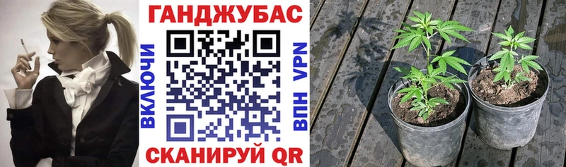 Купить где  Нарткала  Марихуана семена 